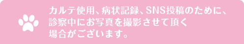 カルテ使用、病状記録、SNS投稿のために、診察中にお写真を撮影させて頂く場合がございます。