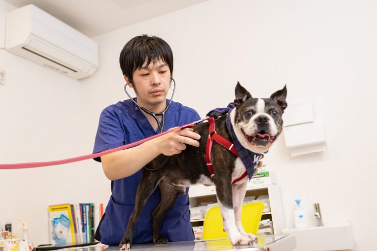 診察の流れ