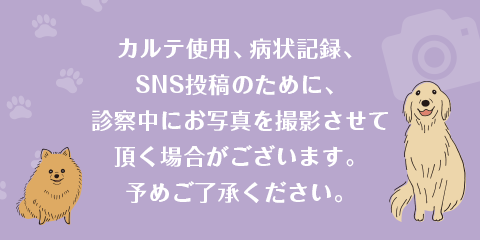 カルテ使用、病状記録、SNS投稿のために、診察中にお写真を撮影させて頂く場合がございます。予めご了承ください。