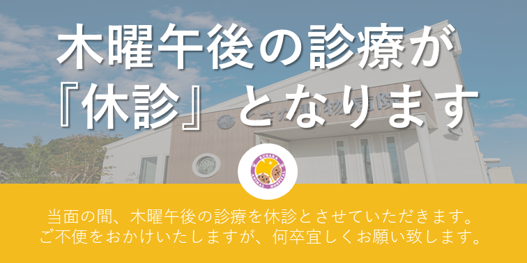 くさか動物病院 富谷市明石台の動物病院