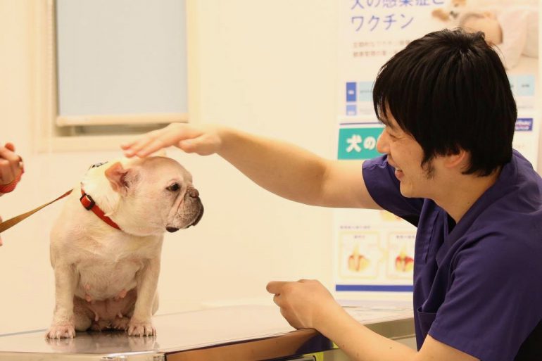 くさか動物病院で手術をするメリット