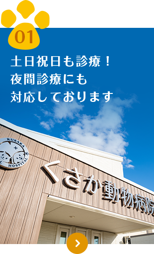 くさか動物病院 富谷市明石台の動物病院